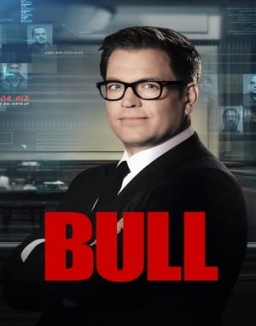 série Bull