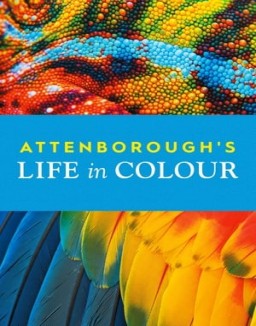 série La Vie en couleurs avec David Attenborough